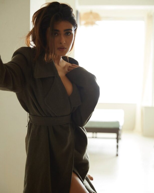 Shalini Pandey Hot Photo